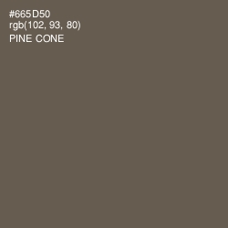 #665D50 - Pine Cone Color Image